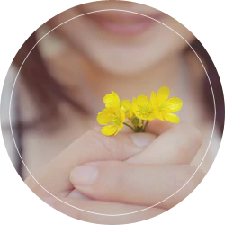 Blossom About Image