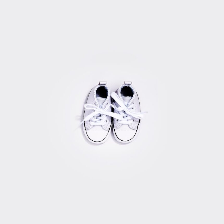 The Canvas Field Shoe